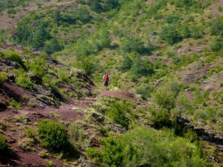 Marche d'approche