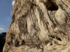 Syl dans Marquée Moon, 7c+