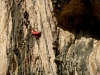 Syl dans Marquée Moon, 7c+