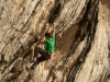 Bérenger dans Marquée Moon, 7c+