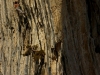 Kev dans le bas du chamane, 7c