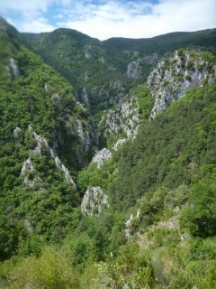 Vue sur le vallon