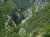 Vue sur le vallon