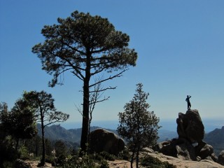 Sur le chemin de la piscia di Gallu