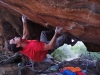 Teagardenroof, 7c